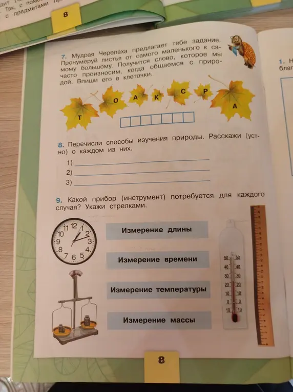 Предложи выполнить задания: пронумеруй листья от самого маленького к самому большому, перечисли способы изучения природы и какой прибор потребуется для каждого случая