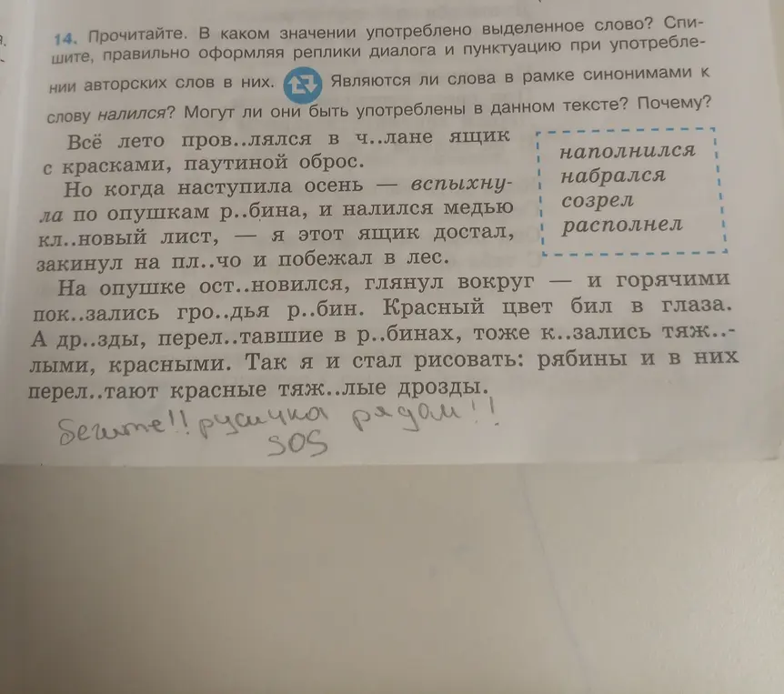 Помоги определить, в каком значении употреблено выделенное слово «налился» в тексте и являются ли слова в рамке синонимами к слову «налился».