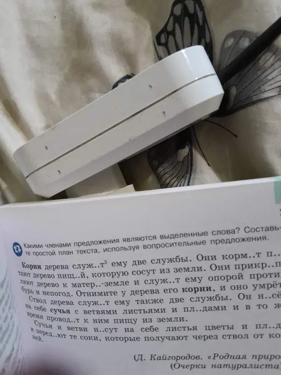 Определи, какими членами предложения являются выделенные слова в тексте про дерево