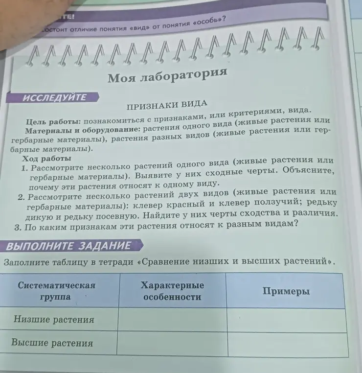 Помоги сделать лабораторную работу про кактус
