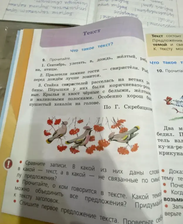Сравни записи в упражнении 9: в какой из них даны слова - текст, а в какой - не связанные по смыслу предложения?