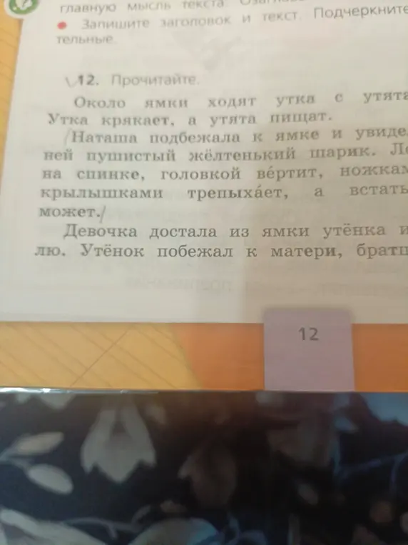 Ты просишь рассказать о чём говорится в тексте про утят