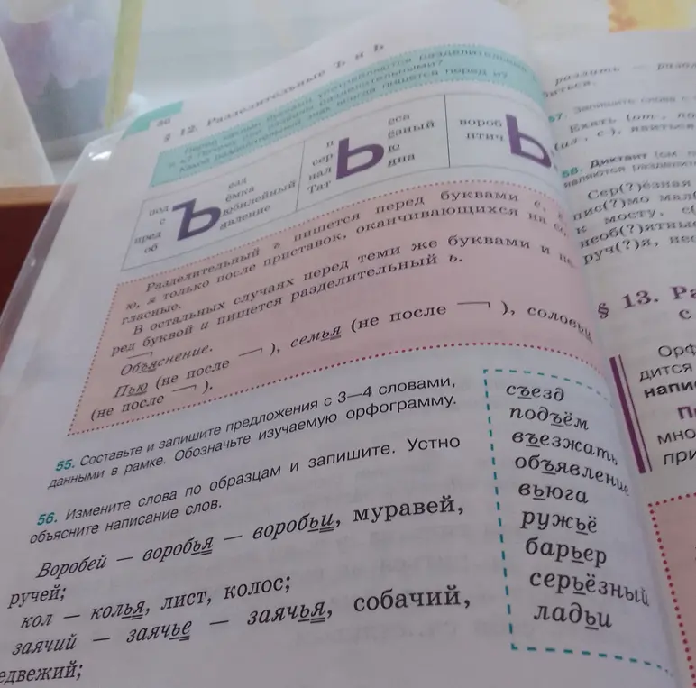 Составь и запиши предложения с 3-4 словами, данными в рамке в упражнении 55