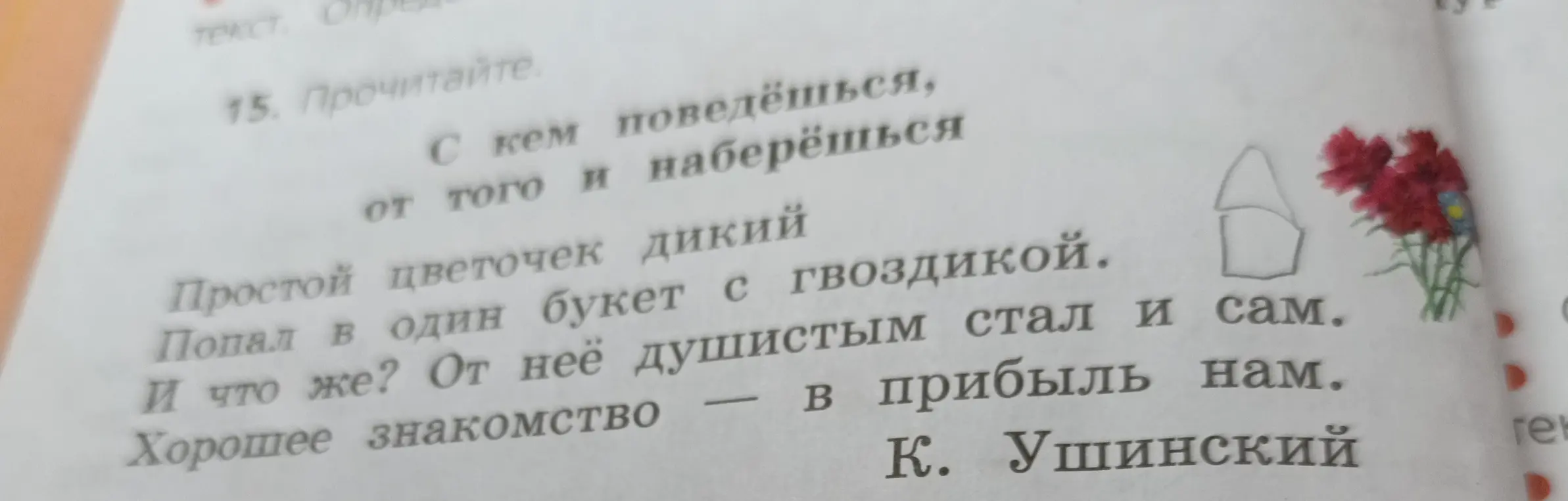 Прочитай текст
