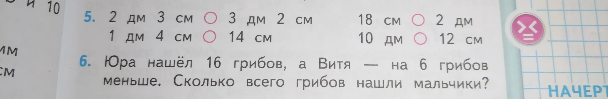 Реши примеры 5 и задачу 6 про грибы