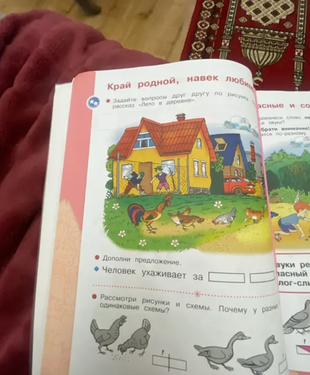 Ты просишь дополнить предложение: человек ухаживает за...