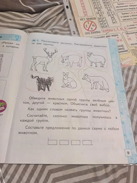 Выполни задание: рассмотри рисунки, распредели животных на две группы, обведи животных одной группы зелёным цветом, другой — красным, объясни свой выбор, как одним словом назвать группы животных, сосчитай, сколько животных получилось в каждой группе, составь предложение по данной схеме о любом животном.