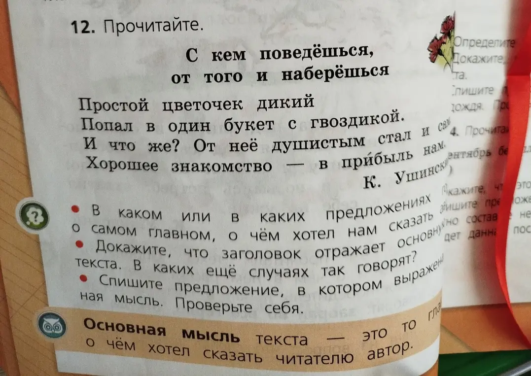 В каком предложении заключается основная мысль текста?