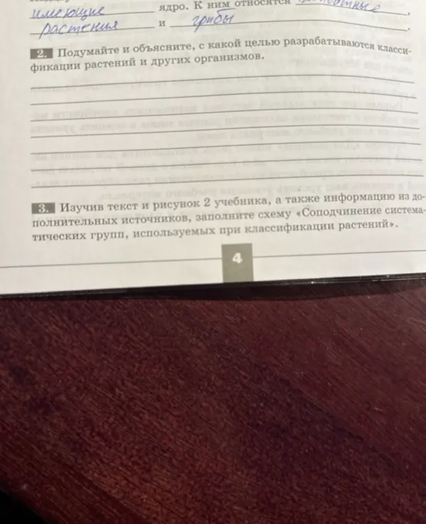 Подумай и объясни, с какой целью разрабатываются классификации растений и других организмов.