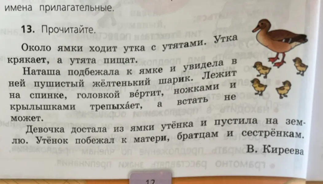 Прочитай текст про утку и утят