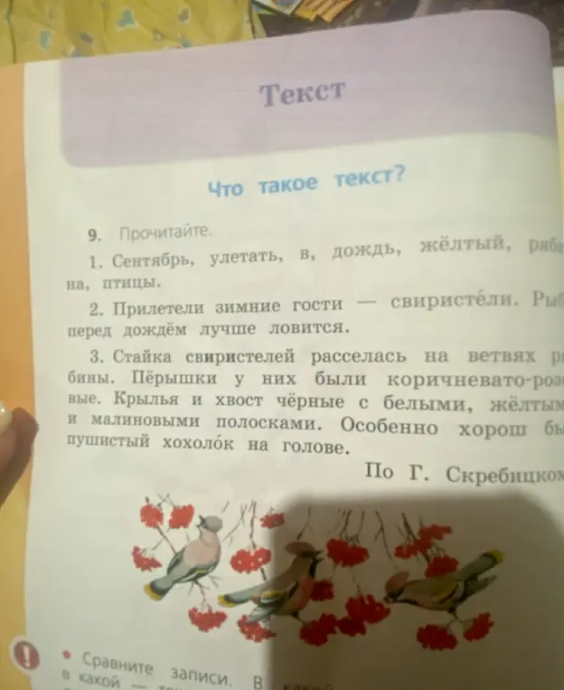 Помоги составить предложения из слов в упражнении 1