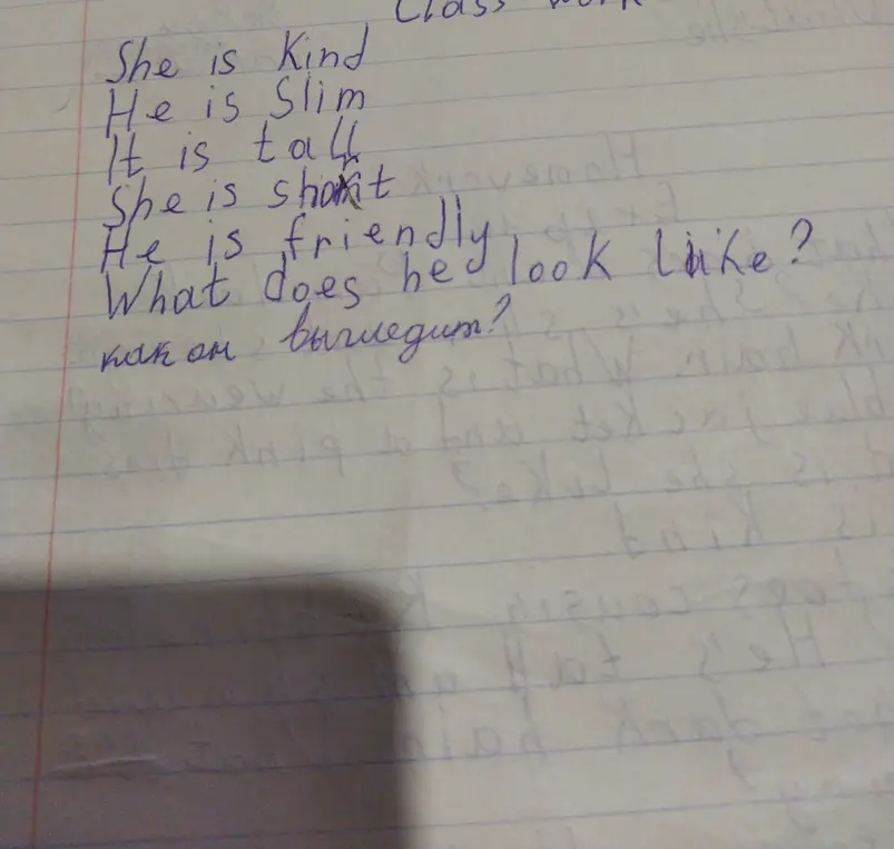 Составь предложение со слов 'She is Kind', 'He is Slim', 'It is talk', 'She is shokit', 'He is friendly look like'