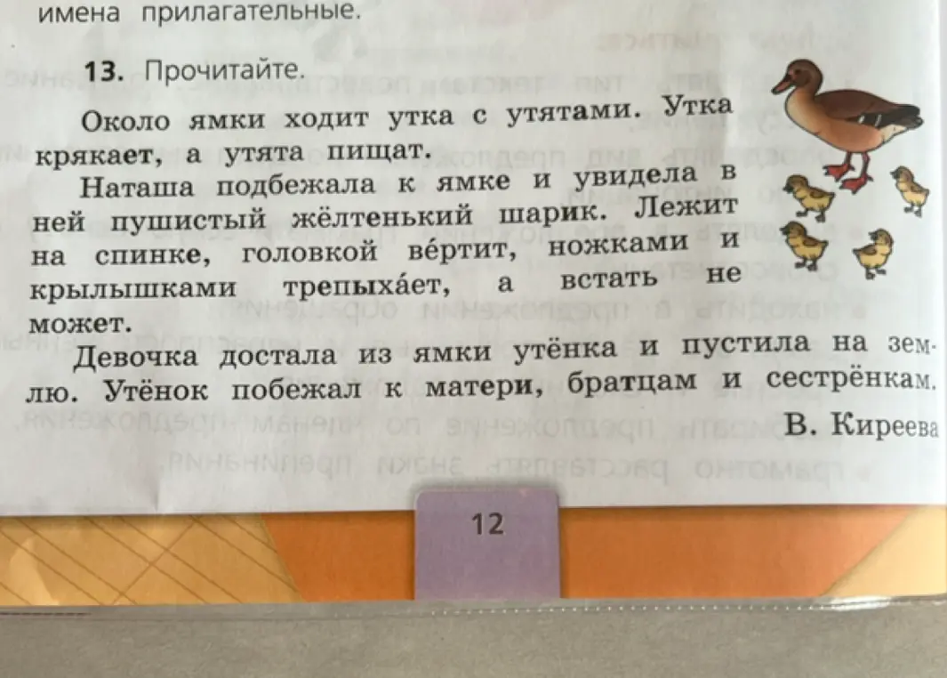 Прочитай текст.