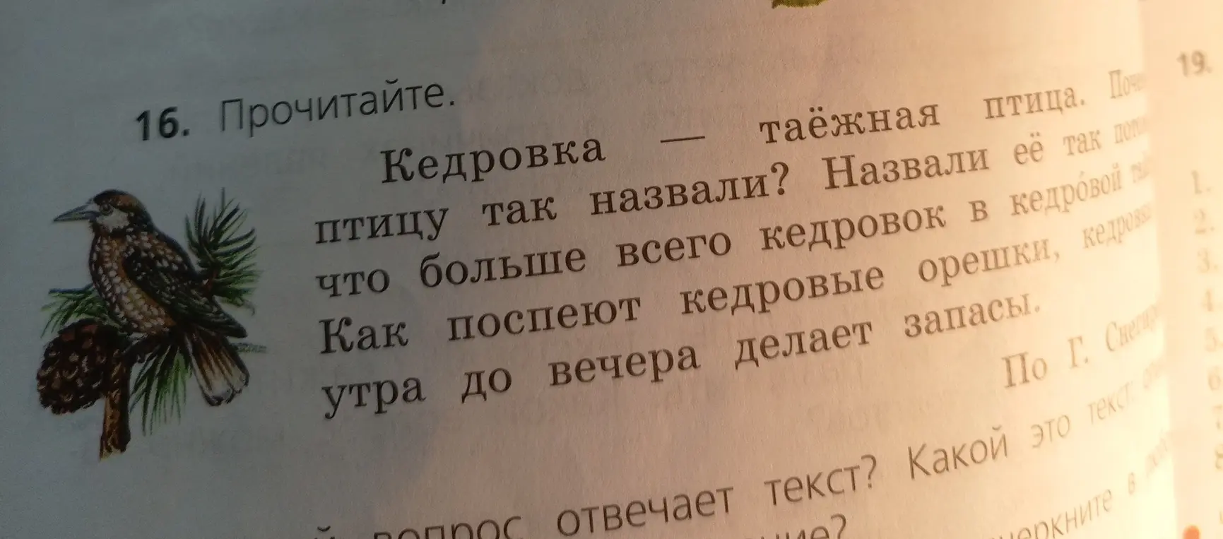 Прочитай текст и ответь на вопрос, на какой вопрос отвечает текст про кедровку