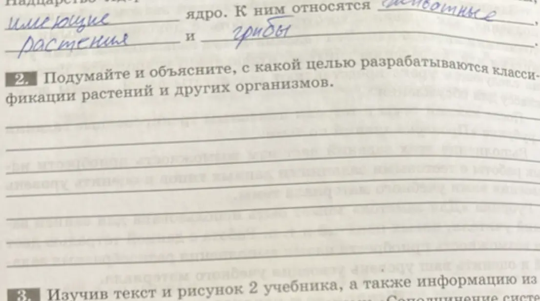 Объясни, с какой целью разрабатываются классификации растений и других организмов
