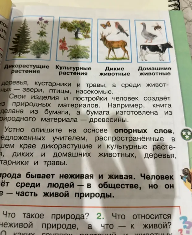 Ты просишь назвать животных, дикорастущие и культурные растения, которые изображены на картинке
