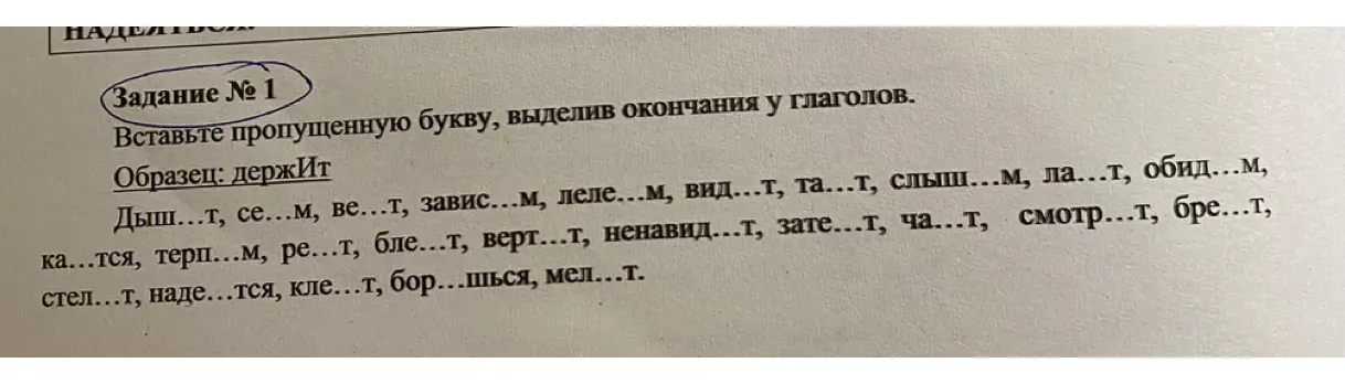 Вставь пропущенную букву, выделив окончания у глаголов в упражнении.