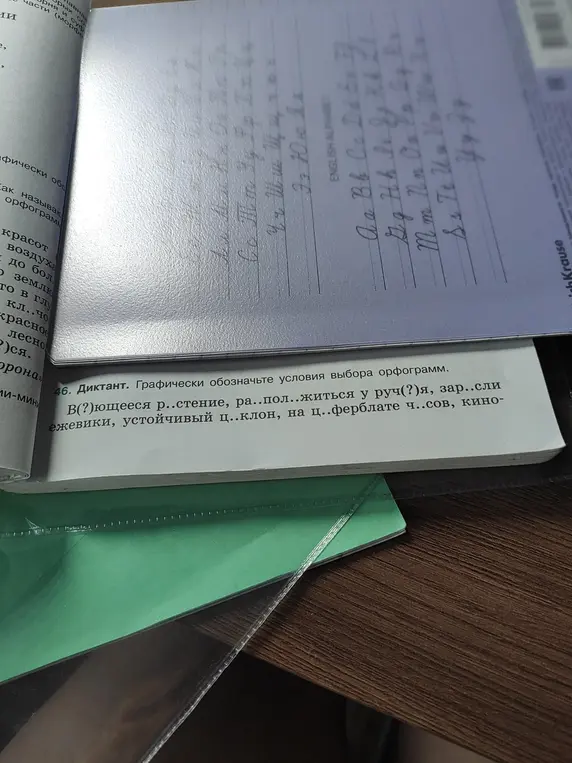 Как правильно вставить пропущенные буквы в словах: в(?)ющееся р..стение, ра..пол..житься у руч(?)я, зар..сли ежевики, устойчивый ц..клон, на ц..ферблате ч..сов, кино-