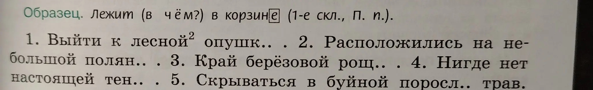 Определи падеж существительных в предложении «Выйти к лесной опушке»