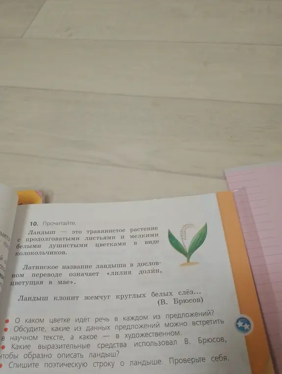 Определи, о каком цветке идёт речь в каждом из предложений?