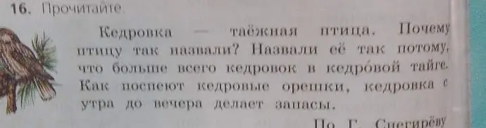 Ты просишь объяснить, почему птицу кедровку так назвали.