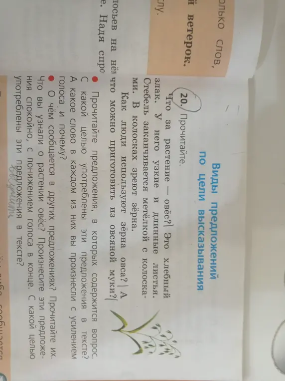 Объясни, с какой целью употреблены предложения в тексте под номером 20?