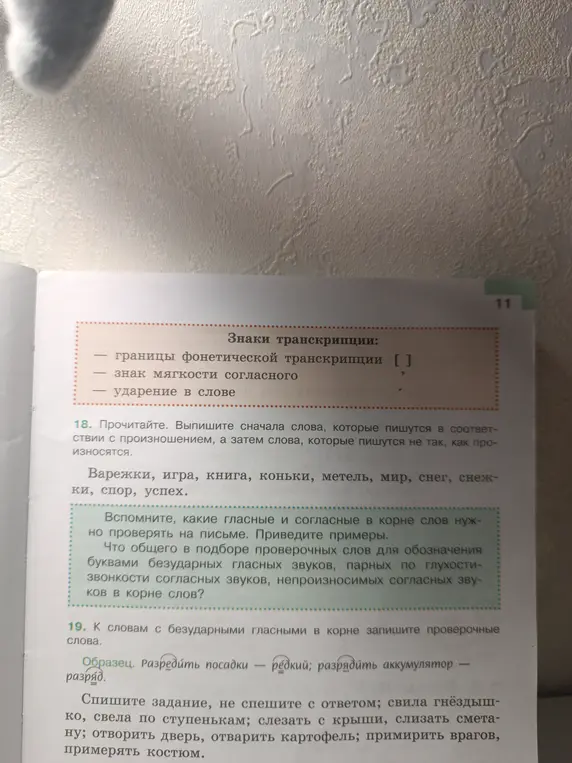 Выпиши сначала слова, которые пишутся в соответствии с произношением, а затем слова, которые пишутся не так, как произносятся