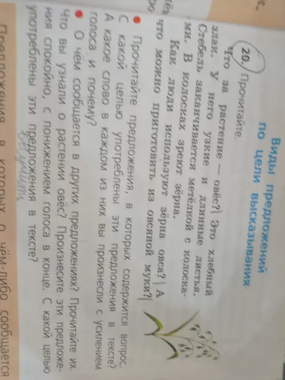 Прочитай текст про овёс.