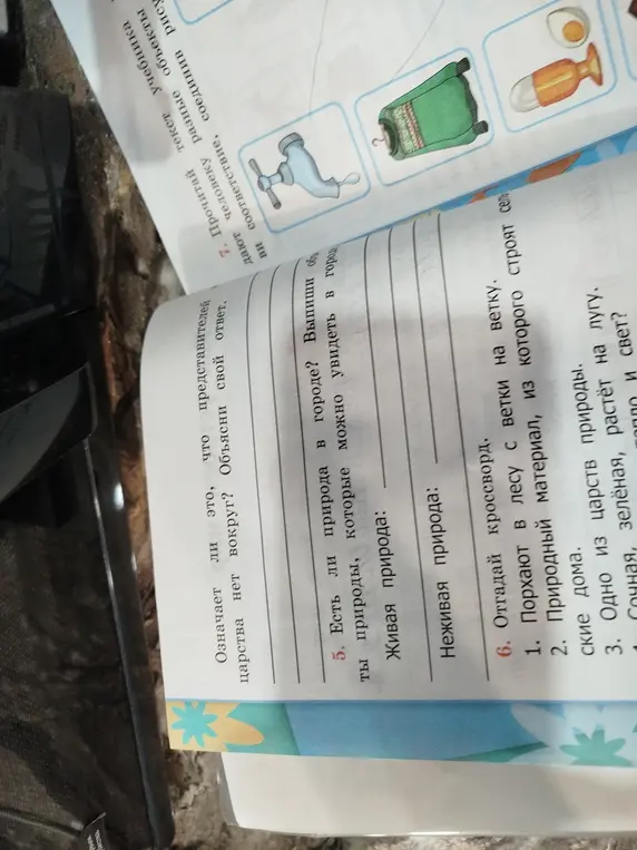 Можешь ли ты выписать объекты природы, которые можно увидеть в городе?