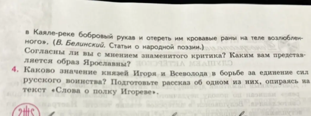 Каково значение князей Игоря и Всеволода в борьбе за единение сил русского воинства?