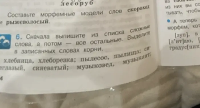 Выпиши из списка сложные слова, а потом - все остальные. Выдели в записанных словах корни.