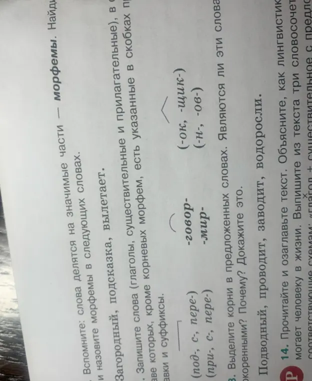 Как найти морфемы в словах "загородный", "подсказка", "вылетает"?