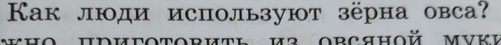 Как люди используют зёрна овса?