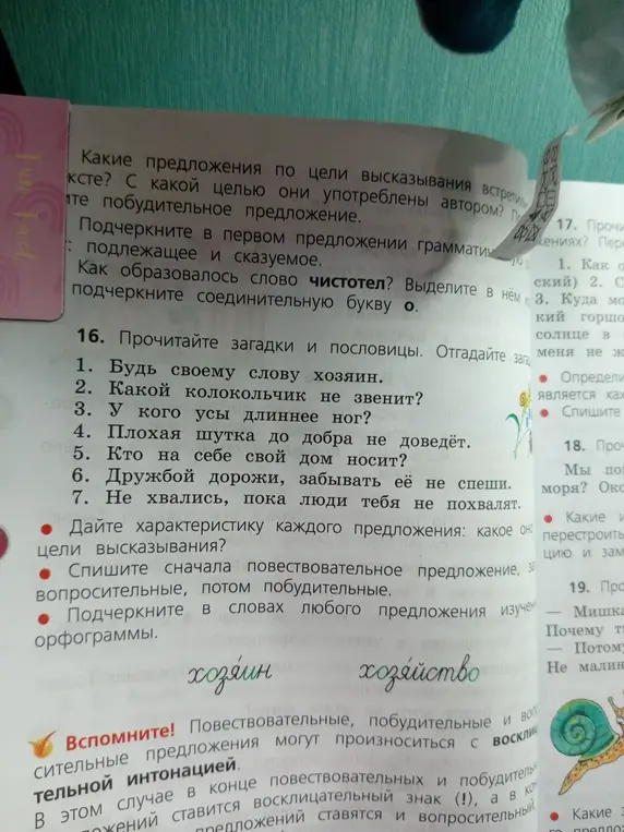 Дай характеристику каждому предложению в задании 16