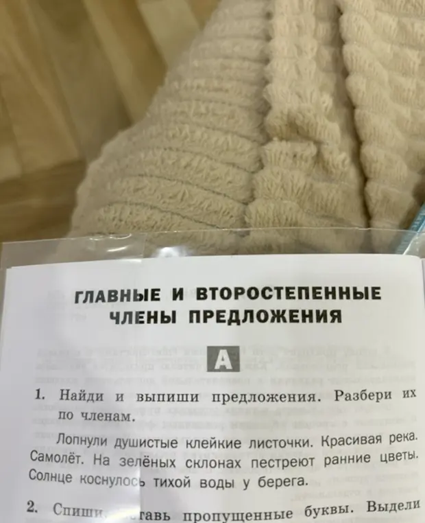 Ты просишь найти и выписать предложения, разобрать их по членам.