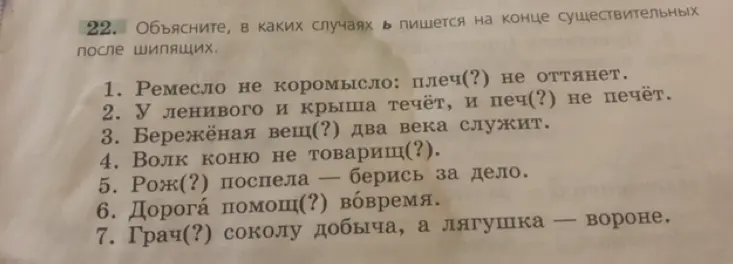 Объясни, в каких случаях Ь пишется на конце существительных после шипящих в упражнении 22 под номерами 1-7.