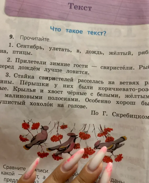 Объясни, что такое текст