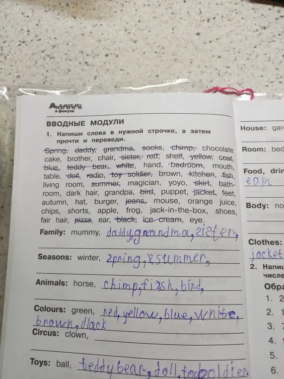 Напиши слова в нужной строчке, а затем прочти и переведи