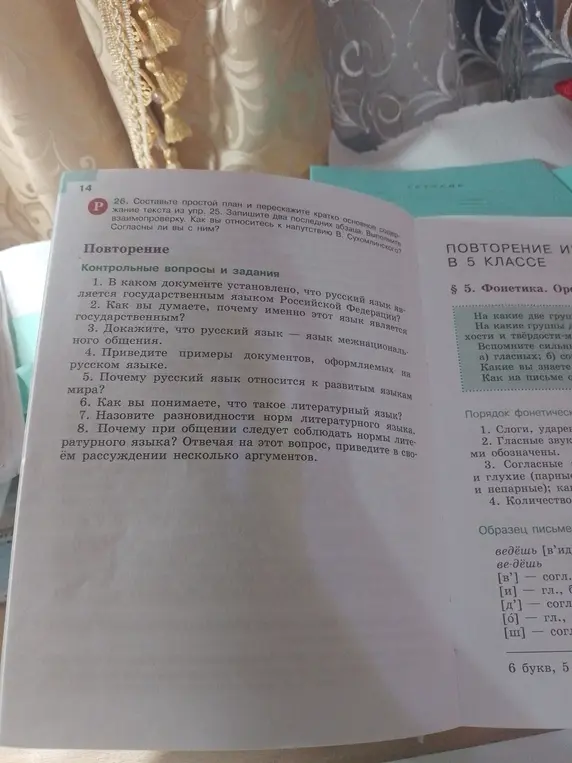 В каком документе установлено, что русский язык является государственным языком Российской Федерации?