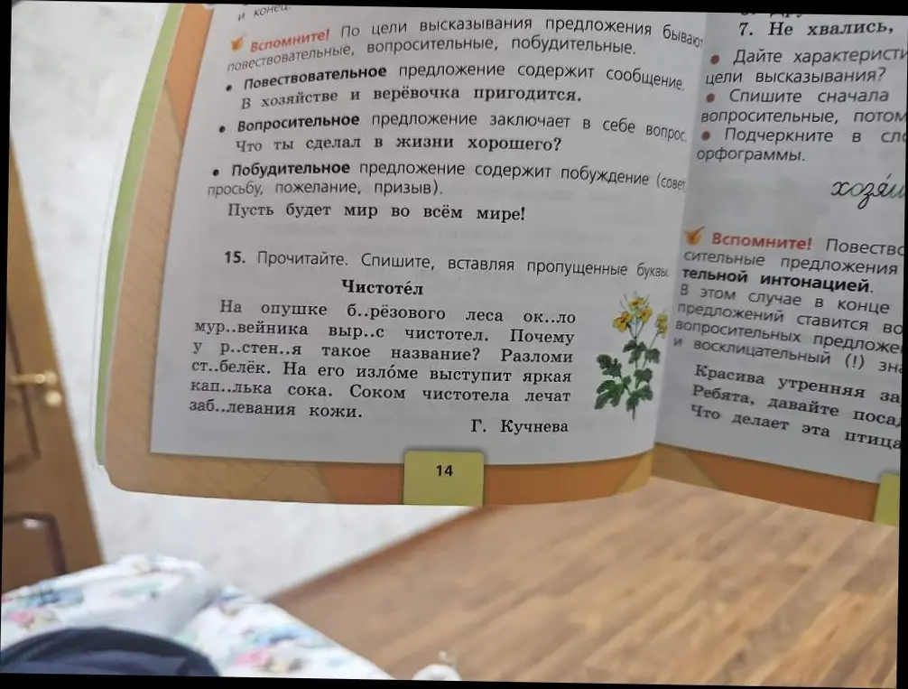Вставь пропущенные буквы в тексте про чистотел