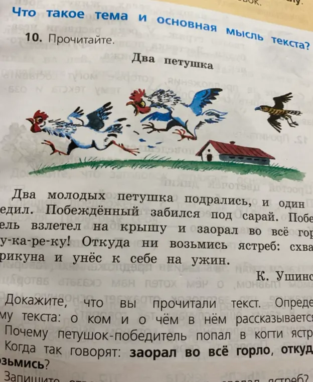 Выполни задание из текста "Два петушка": докажи, что ты прочитал текст. Определи тему текста: о ком и о чём в нём рассказывается?