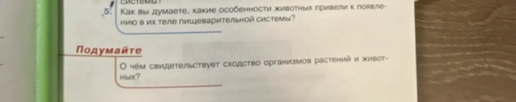 Какие особенности животных привели к появлению у них пищеварительной системы и о чём свидетельствует сходство организмов растений и животных?