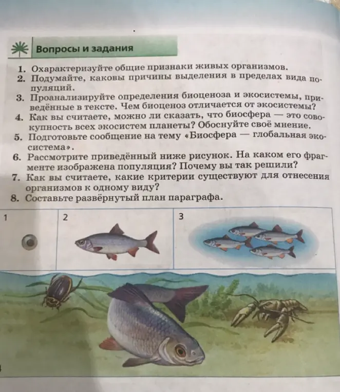 Рассмотришь приведённый ниже рисунок, определишь, на каком его фрагменте изображена популяция и объяснишь, почему так решил. Назовёшь критерии, существующие для отнесения организмов к одному виду. Составишь развёрнутый план параграфа.