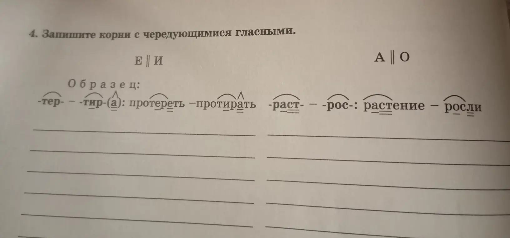 Предложи примеры корней с чередующимися гласными для заполнения таблицы