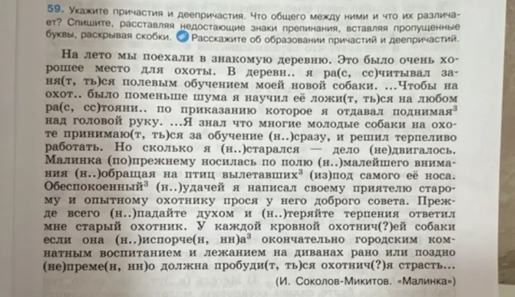 Укажи причастия и деепричастия. Что общего между ними и что их различает?