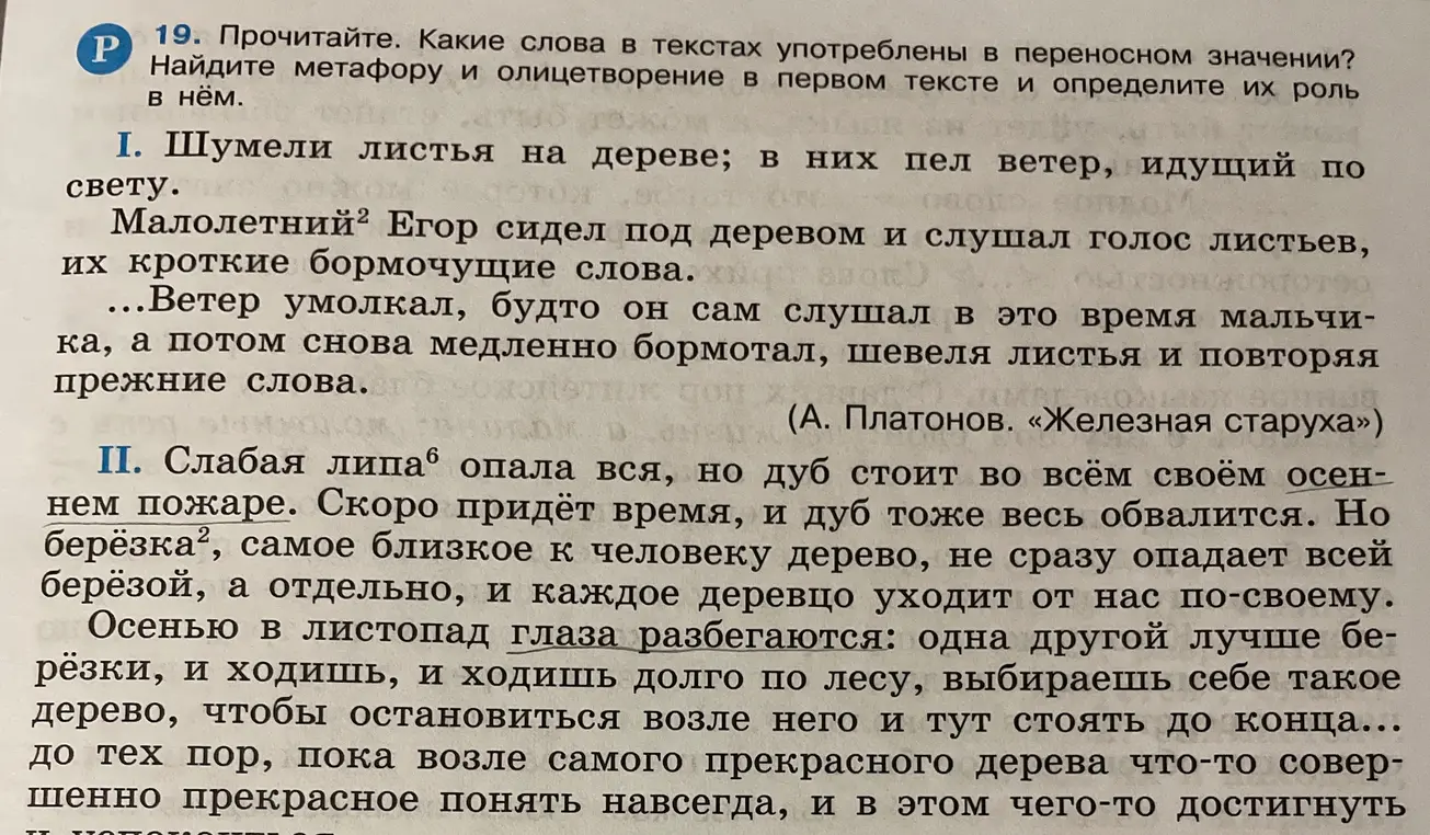 Какие слова в текстах употреблены в переносном значении? Найди метафору и олицетворение в первом тексте и определи их роль в нём.