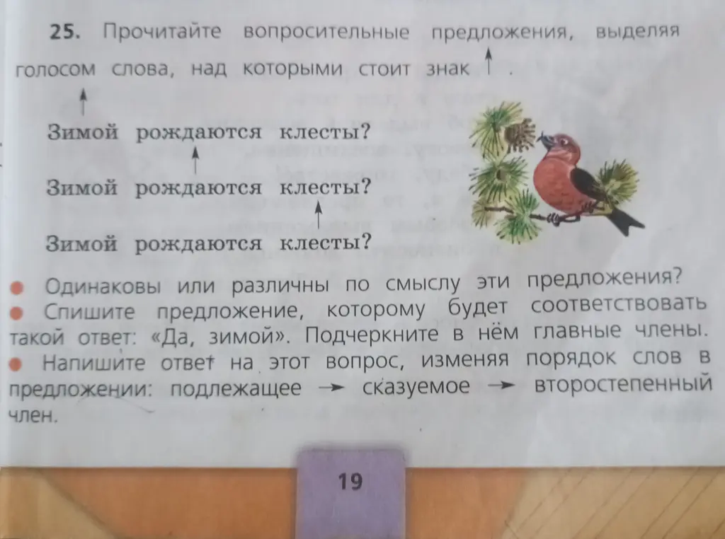 Выполни задания по русскому языку: определи, одинаковы ли по смыслу эти предложения; спиши предложение, которому будет соответствовать такой ответ: «Да, зимой». Подчеркни в нём главные члены; напиши ответ на этот вопрос, изменяя порядок слов в предложении: подлежащее → сказуемое → второстепенный член.
