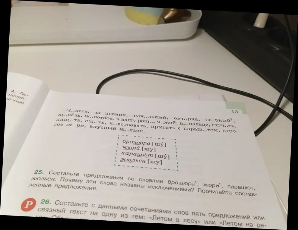 Составь предложения со словами брошюра, жюри, парашют, жюльен. Почему эти слова названы исключениями?