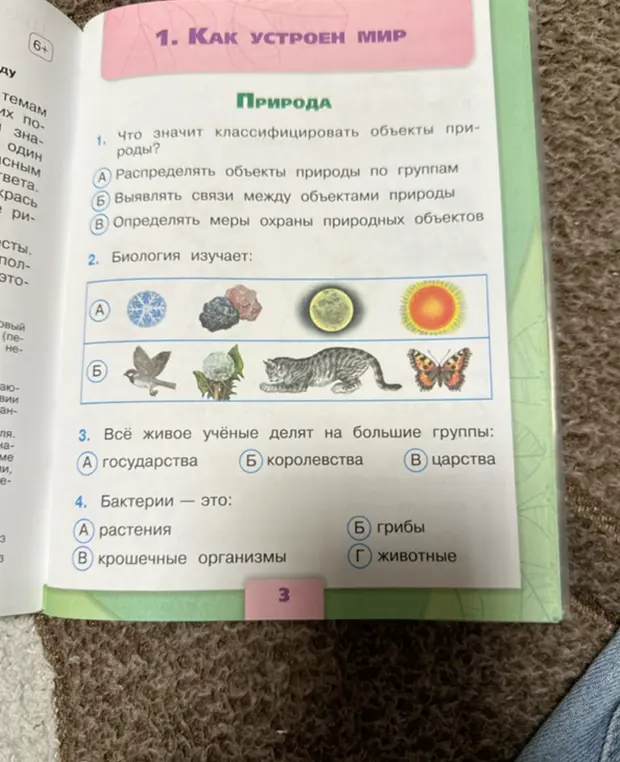 Что значит классифицировать объекты природы?