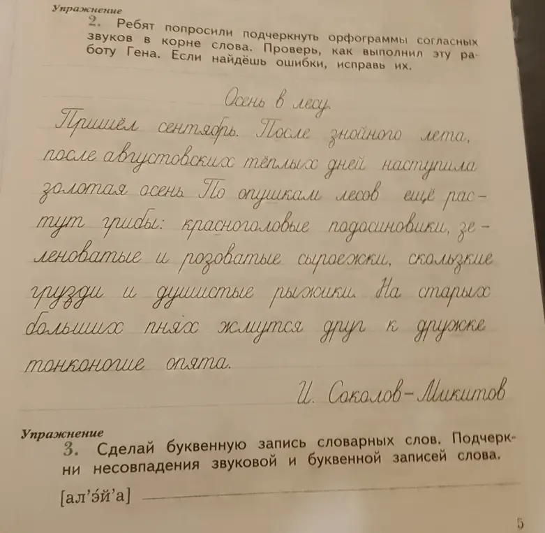 Объясни, как выполнить упражнения 2 и 3